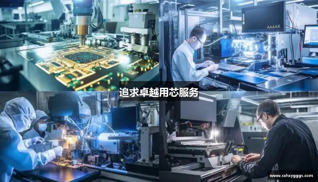 追求卓越用芯服務